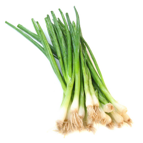 Spring Onion